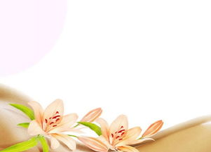 新概念母嬰護理 重塑家政服務，打造專業月嫂與陪護新標桿